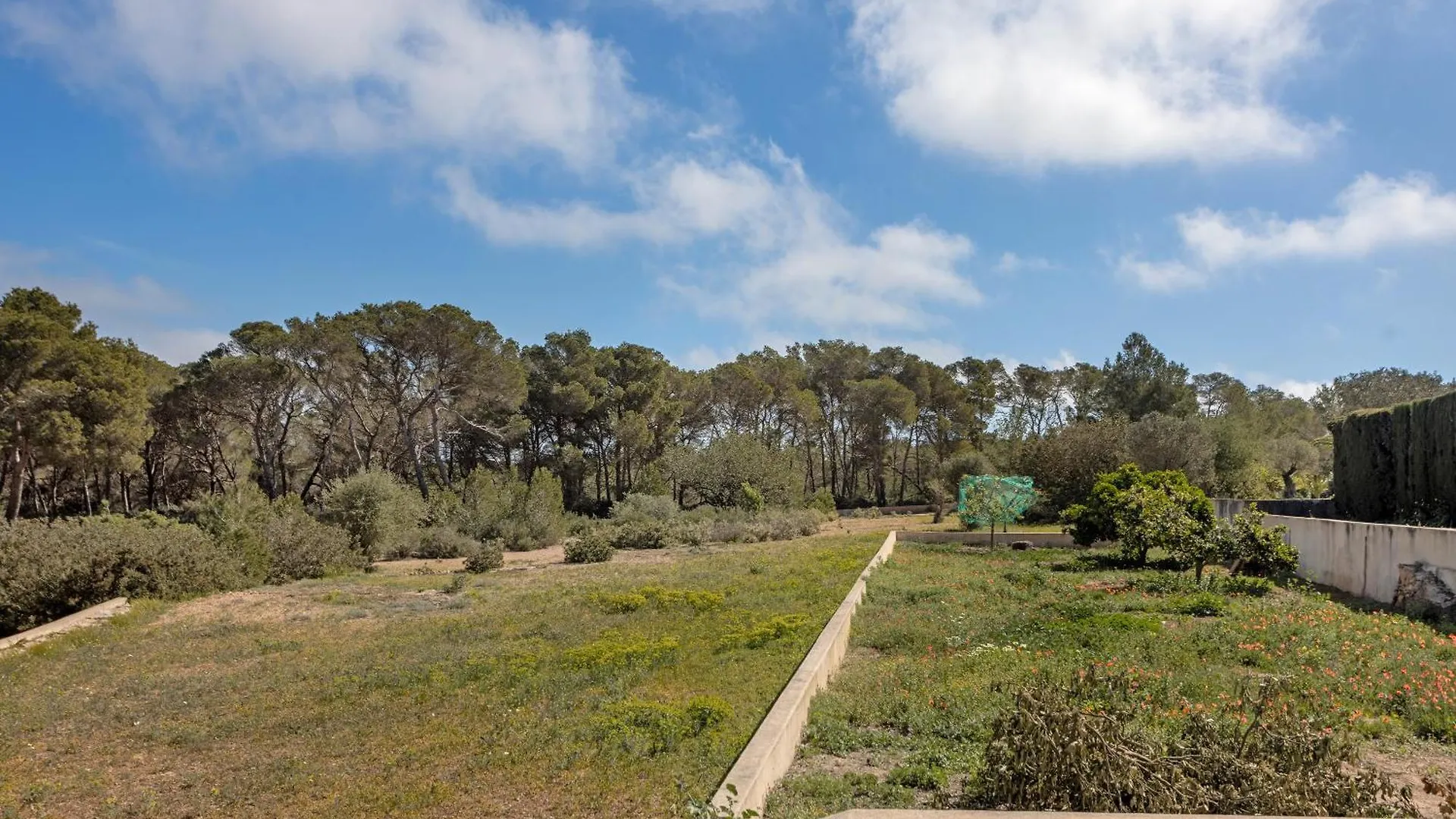 فيلا Ca N'Alicia Des Bosch BALEARIC ISLANDS 0*,  إسبانيا